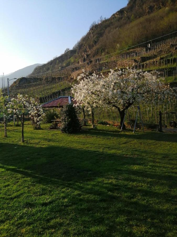 Casa Vacanze La Ca Del Cunfec Sondrio Luaran gambar