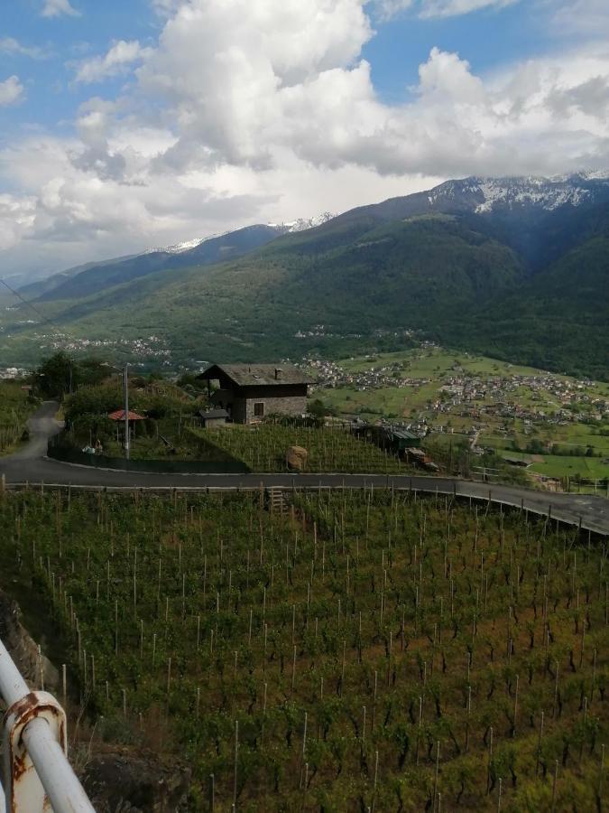 Casa Vacanze La Ca Del Cunfec Sondrio Luaran gambar