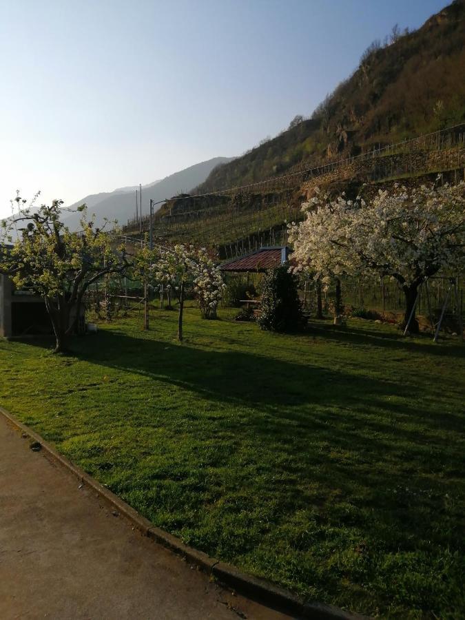 Casa Vacanze La Ca Del Cunfec Sondrio Luaran gambar