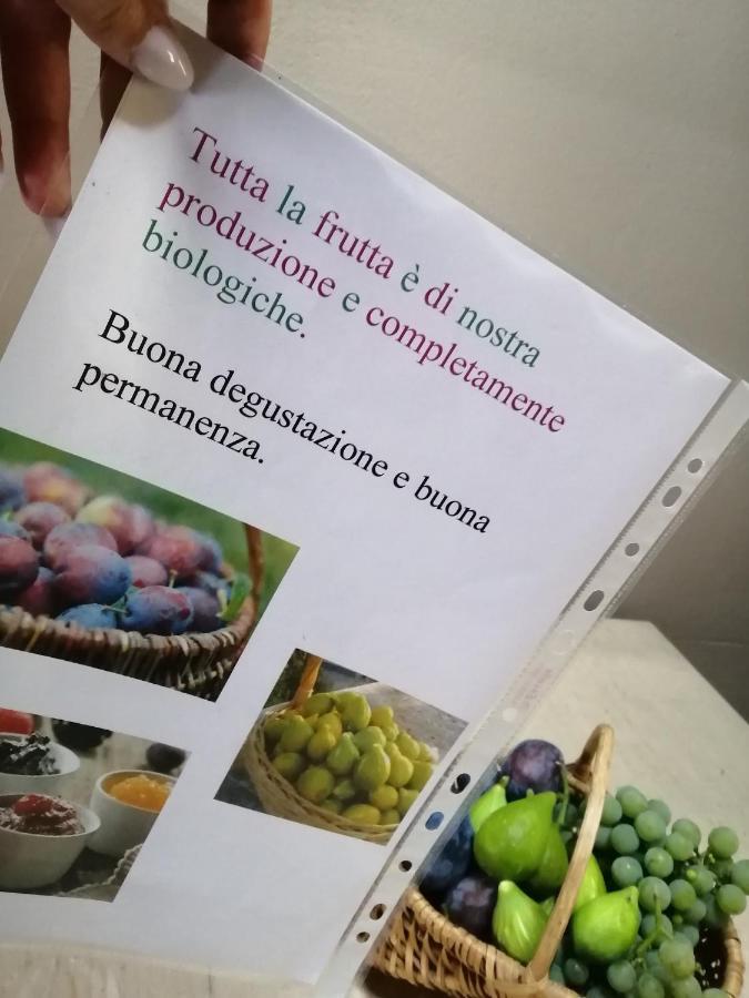 Casa Vacanze La Ca Del Cunfec Sondrio Luaran gambar